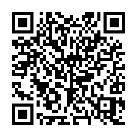 QR code for V13MIS