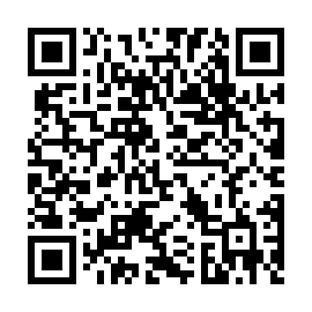 QR code for V15AMB