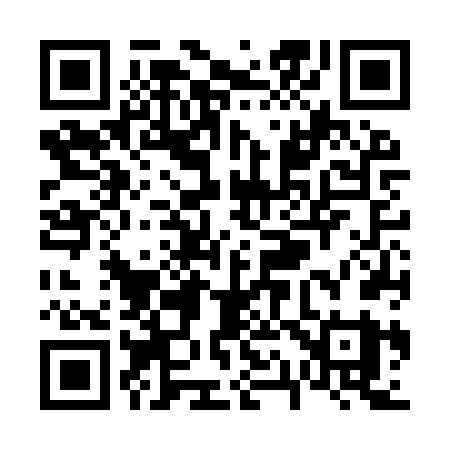 QR code for V16IVY