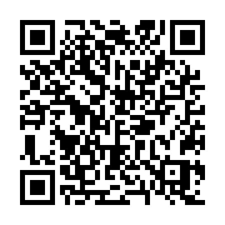 QR code for V16QNS