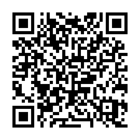 QR code for V17IBU