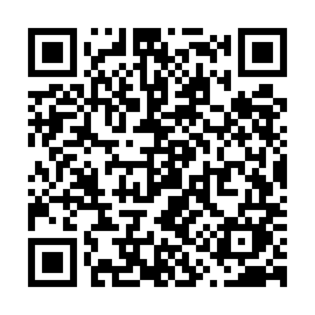 QR code for V17UMM