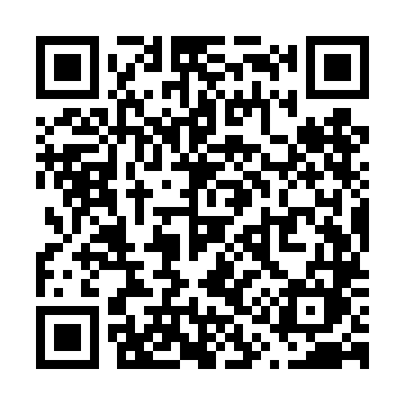 QR code for V19TLM