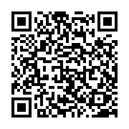 QR code for V20IZX