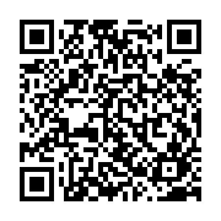 QR code for V29IAN