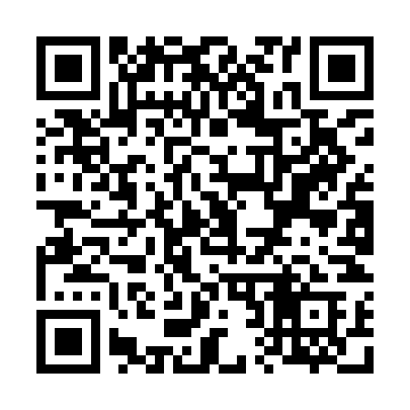 QR code for V29INA