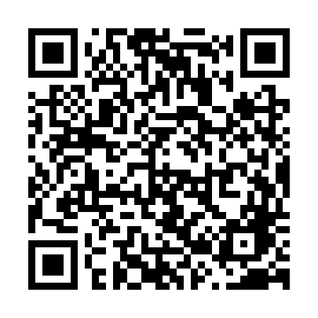 QR code for V29STG