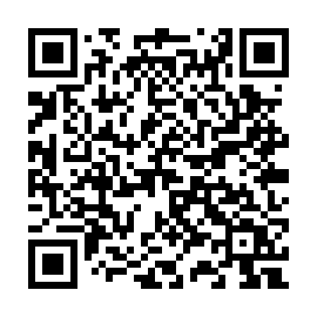 QR code for V31PZT