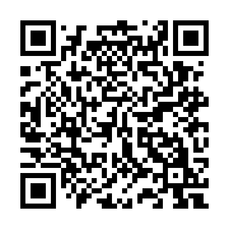QR code for V33EKO