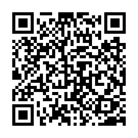 QR code for V38GSX