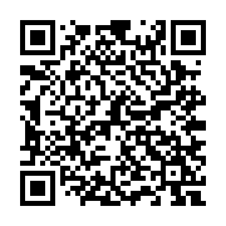 QR code for V45PLM