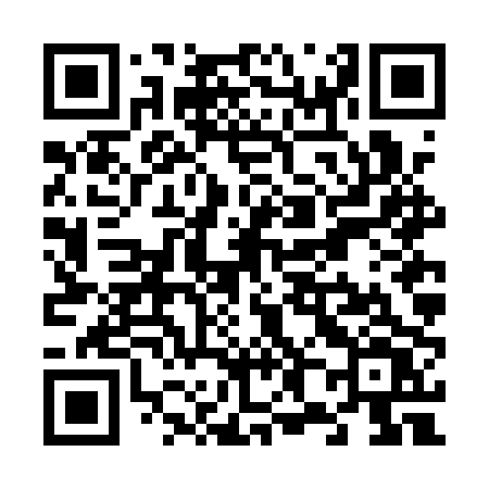 QR code for V86APV