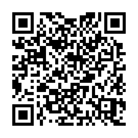 QR code for VCN38P