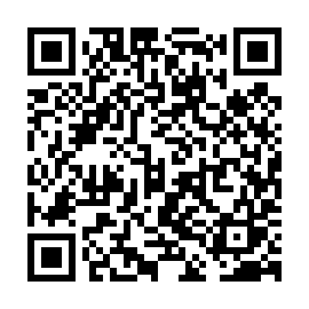 QR code for VDE49S