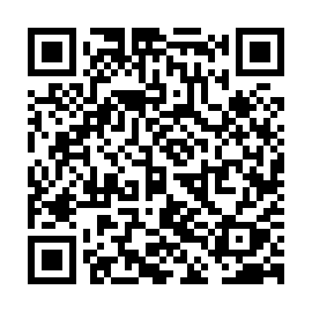 QR code for VDF81Y