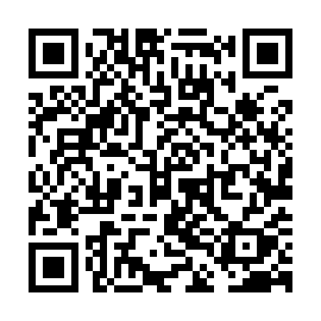 QR code for VDL91Y