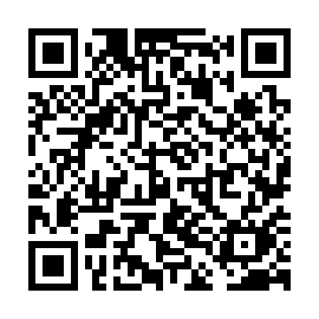 QR code for VDN31M