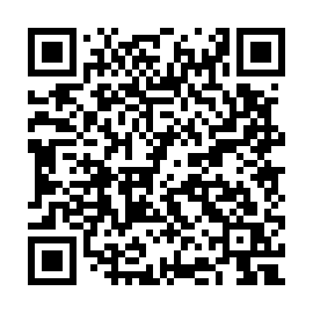 QR code for VFP51S