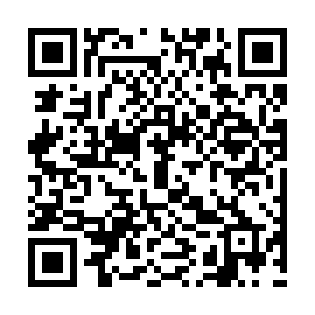 QR code for VIV28P
