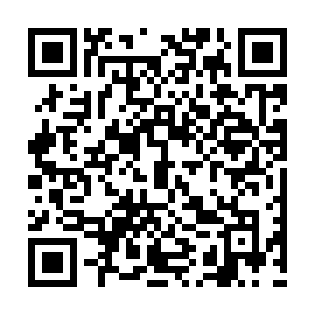QR code for VIV96O