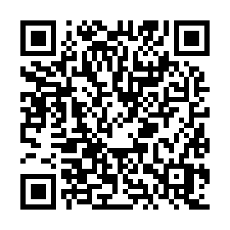 QR code for VIV98V