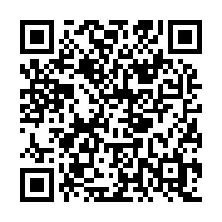 QR code for VLV93L