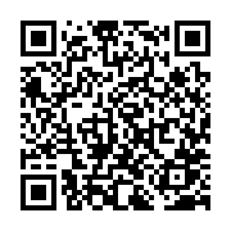 QR code for VMM38R