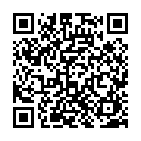 QR code for VNN12L