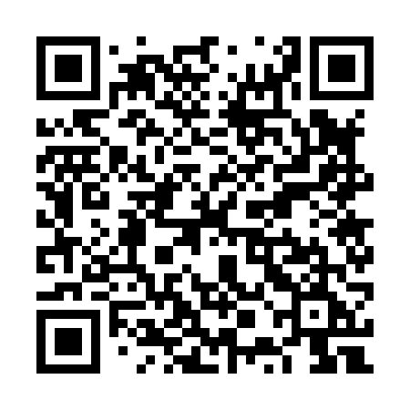 QR code for VPG86E