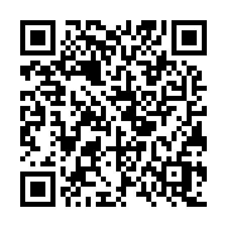 QR code for VPG93V