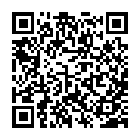 QR code for VSP38P