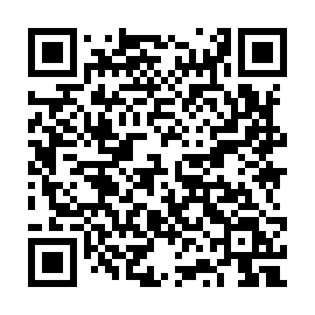 QR code for VVI92L