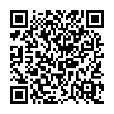 QR code for VVL91G