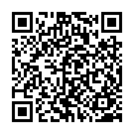 QR code for W11CZT