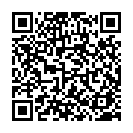 QR code for W20LZA