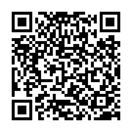 QR code for W27WIP