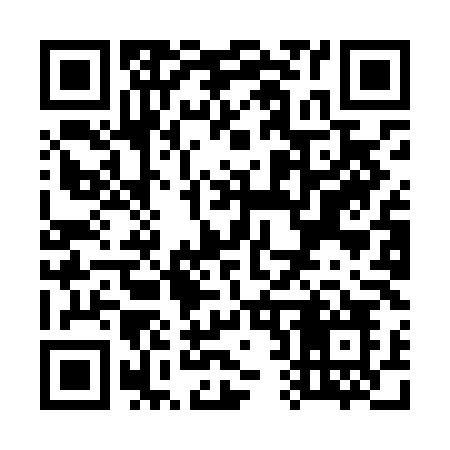 QR code for W29LLO