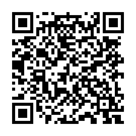 QR code for W29LYY