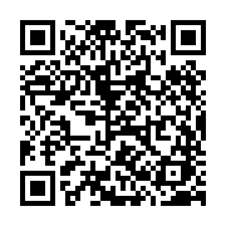 QR code for W29PNK