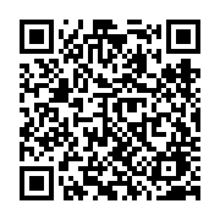 QR code for W33FOG