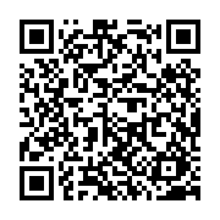 QR code for W38PRO