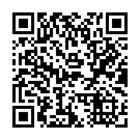QR code for W38SII