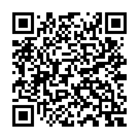 QR code for W38VQJ