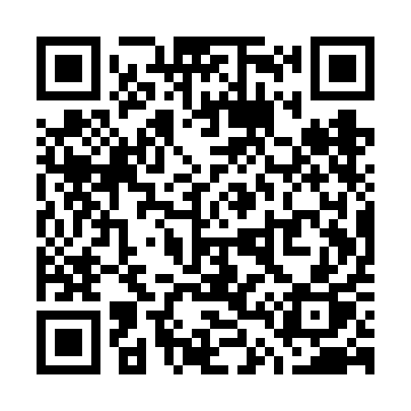 QR code for W41VAP