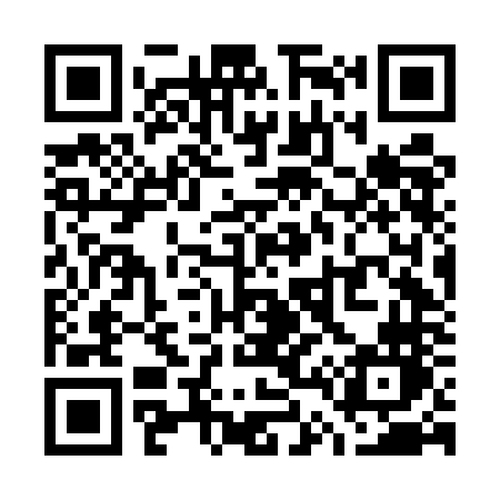 QR code for W46ENN