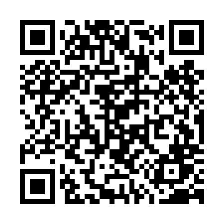 QR code for W55DMV
