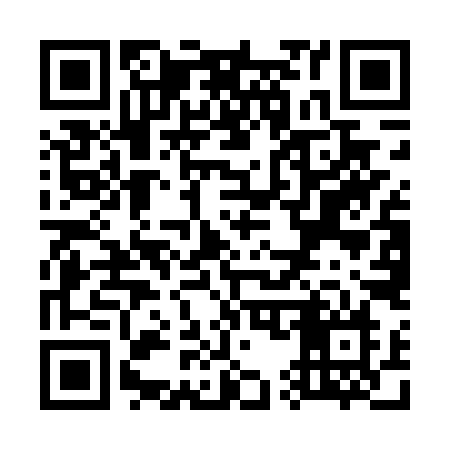 QR code for W55DYN