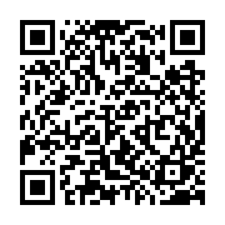 QR code for W81WYS