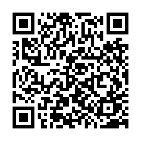 QR code for W87NPT
