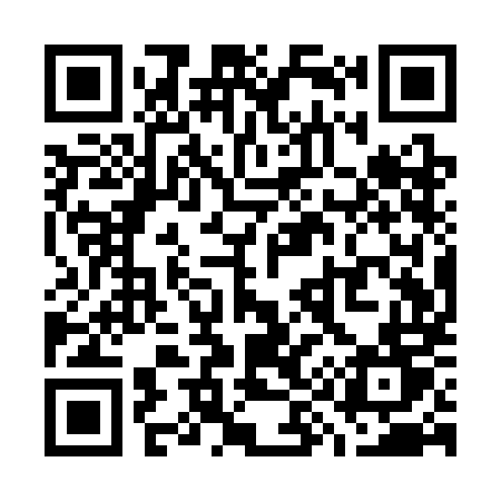 QR code for W91SMT